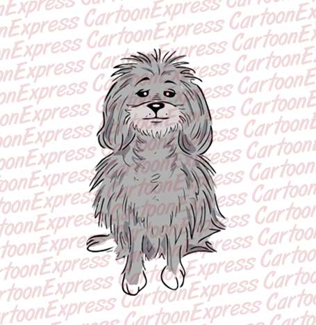 poodle